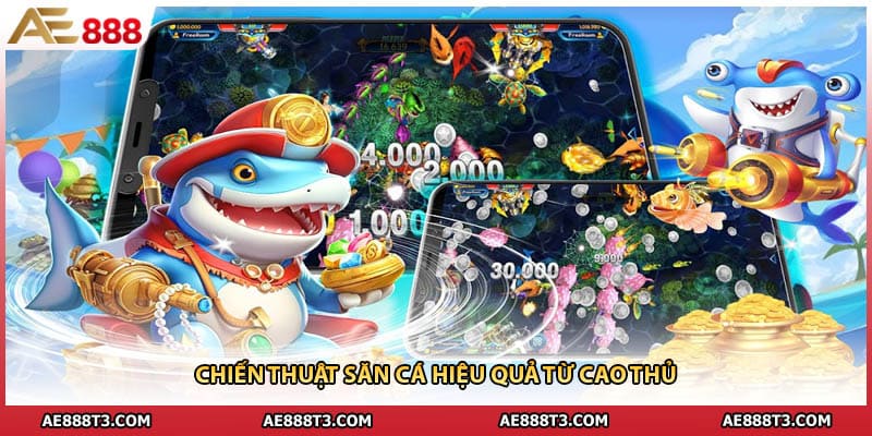 Chiến thuật săn cá hiệu quả từ cao thủ